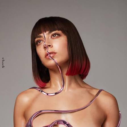 Charli artwork
